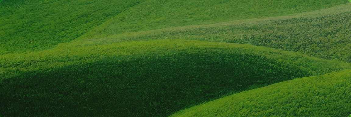 巅峰娱乐官网-不凡成绩非凡,相信品牌的实力