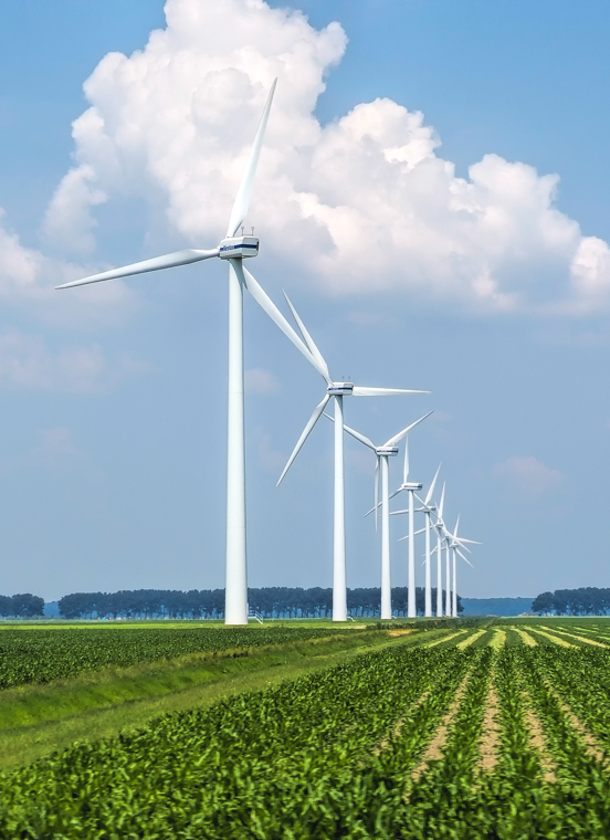 巅峰娱乐官网-不凡成绩非凡,相信品牌的实力